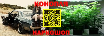 винт Гай